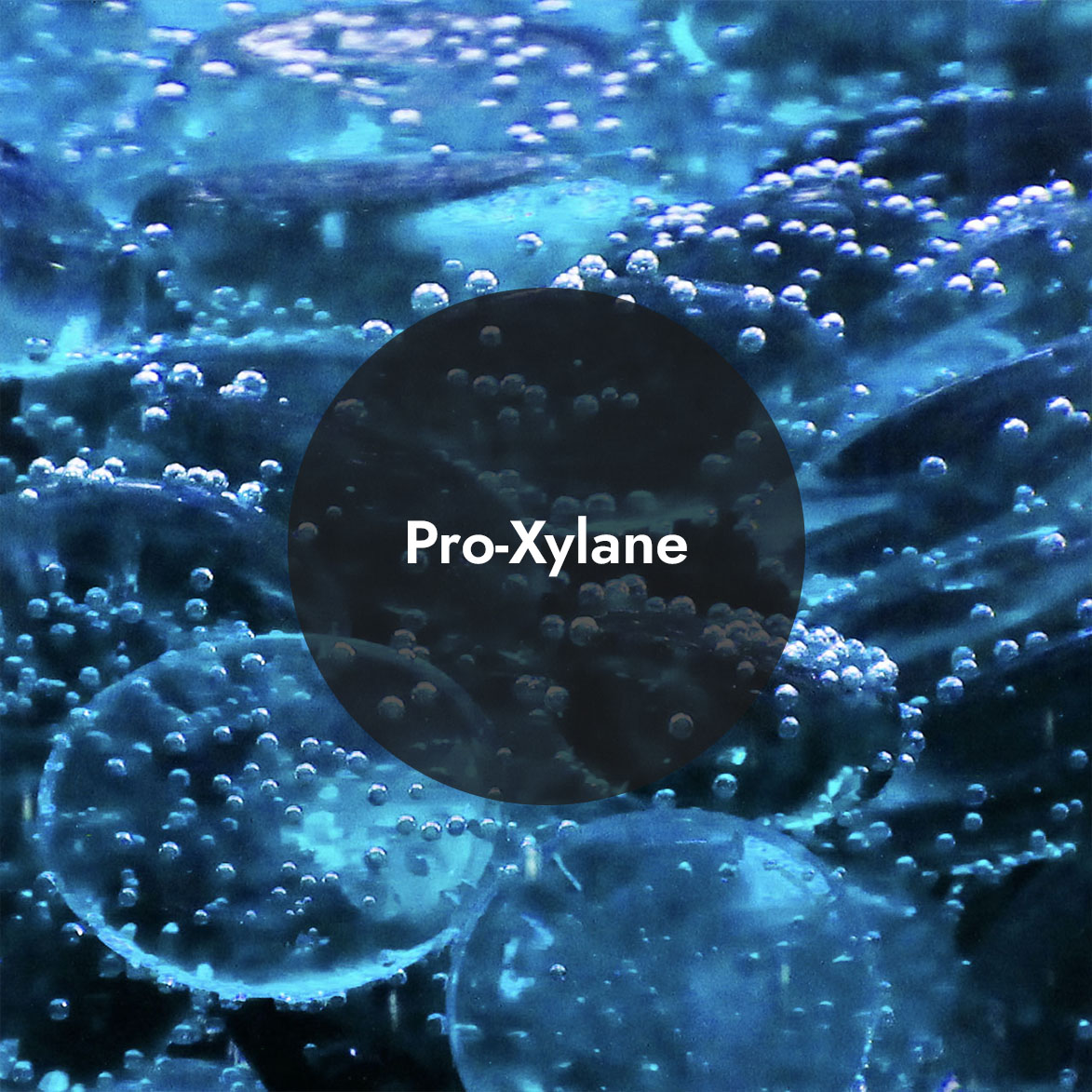Pro-Xylane